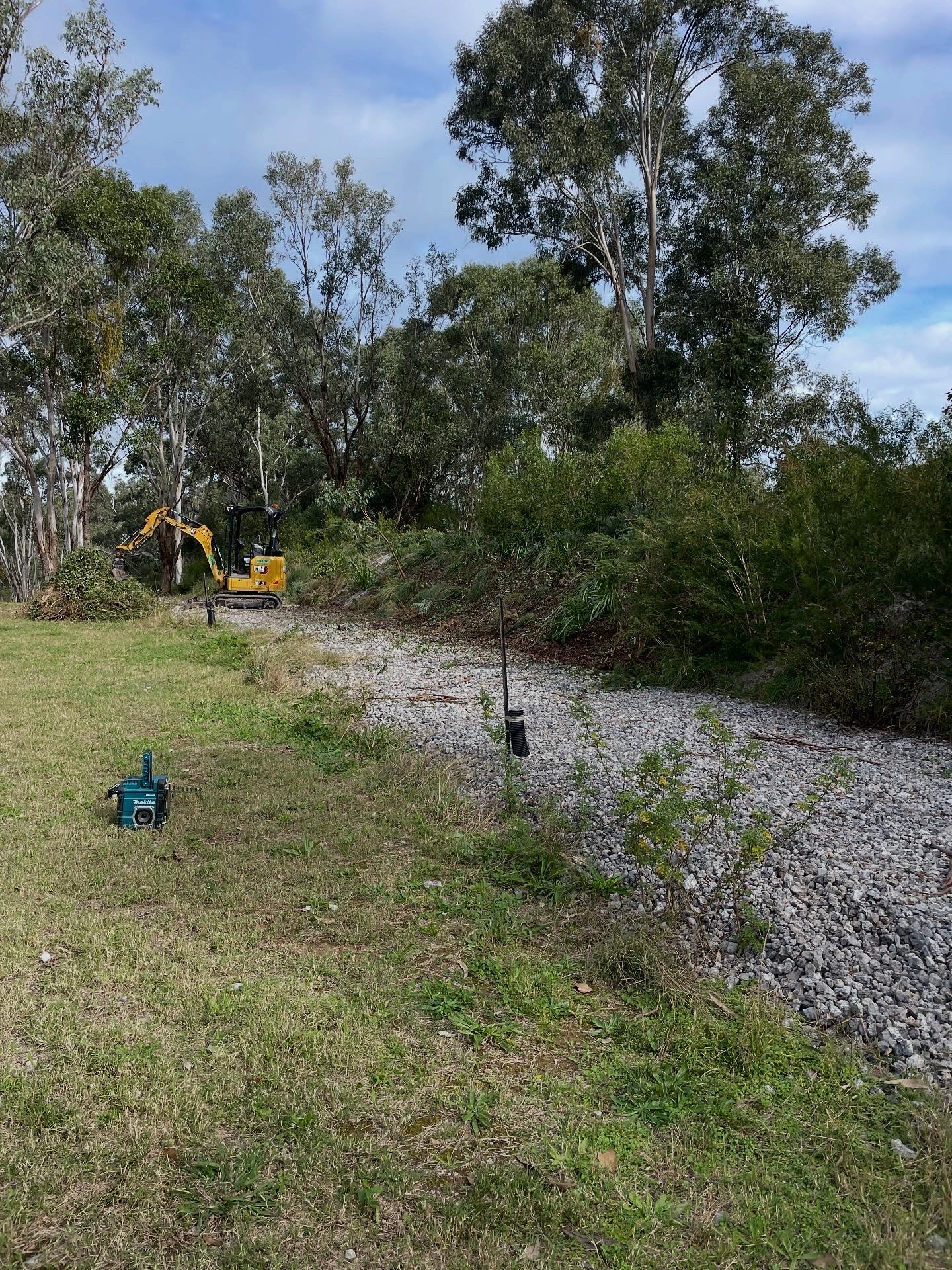 Overgrown Vegetation Removal