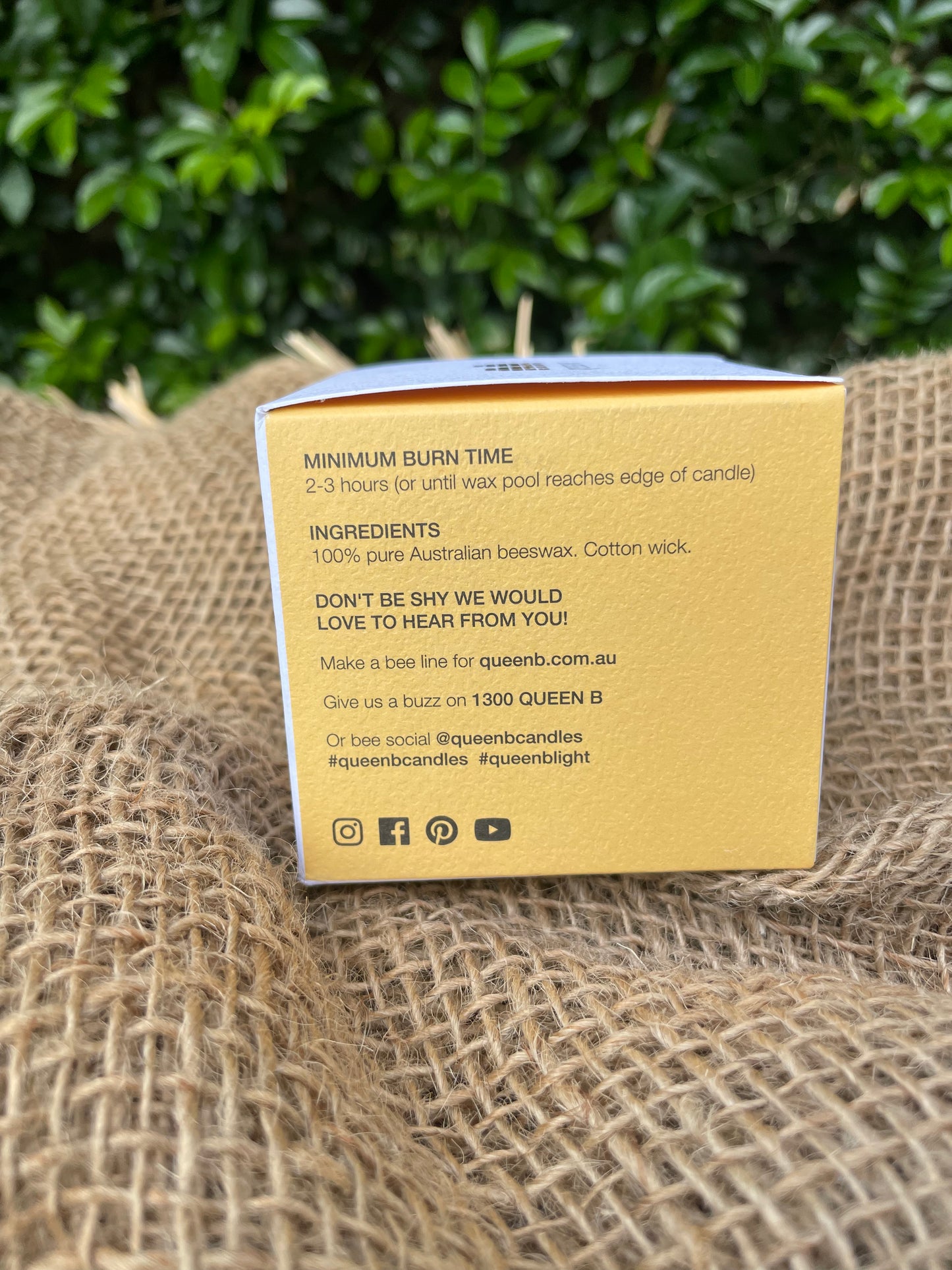 Queen B Squat Pillar Bee's Wax Candle