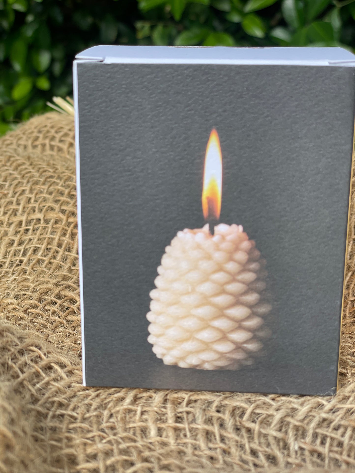 Queen B Pine Cone Bee's Wax Candle