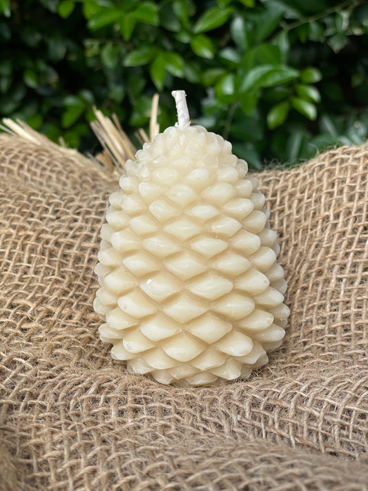 Queen B Pine Cone Bee's Wax Candle