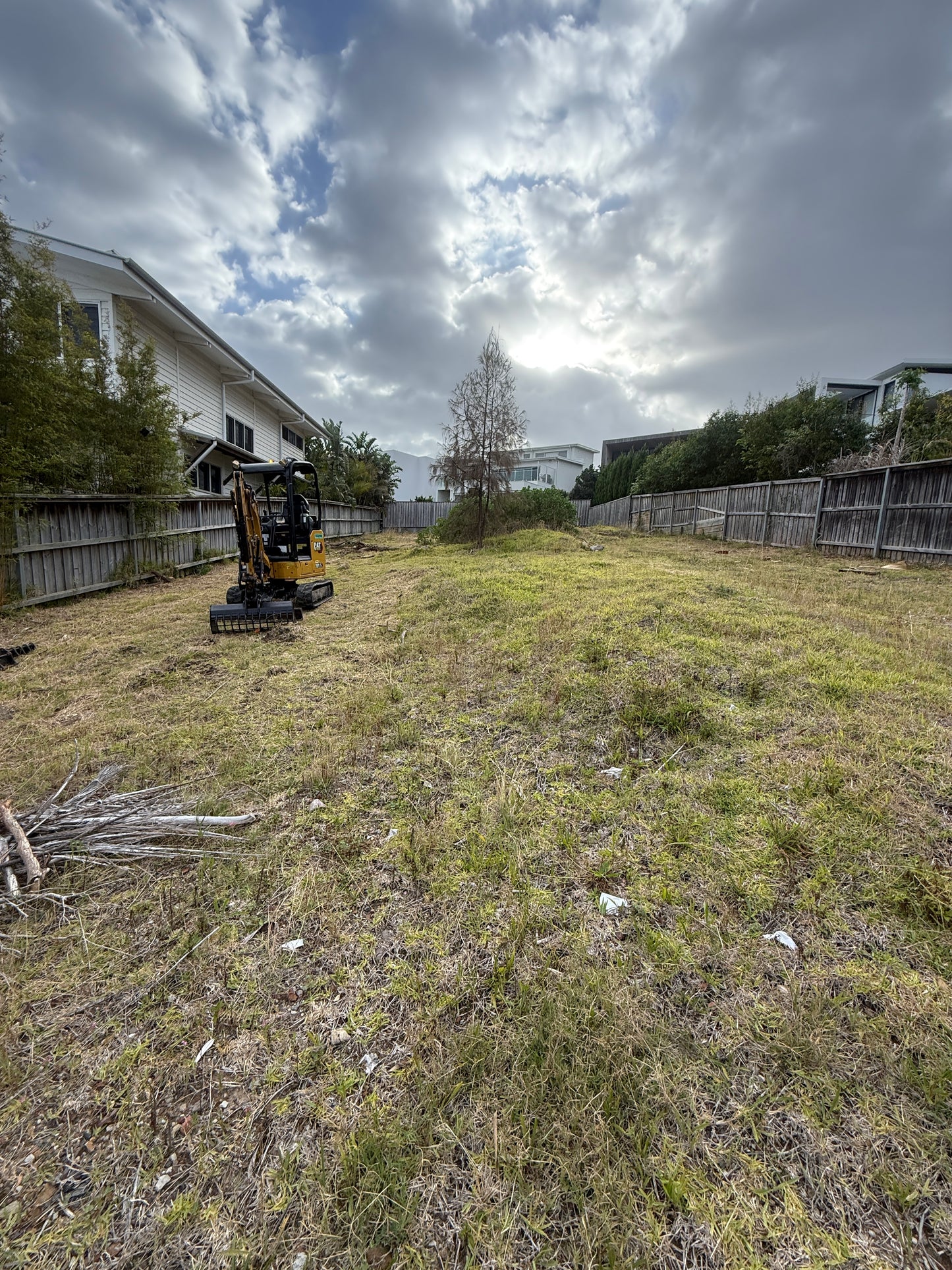 Overgrown Vegetation Removal