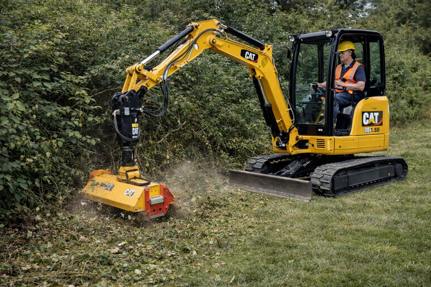 Overgrown Vegetation Removal